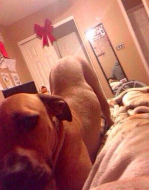 CauseWereGuys tweet picture