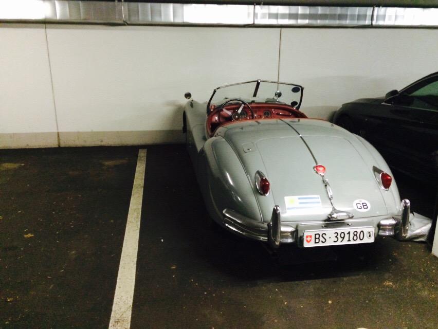 elNegroSantin's tweet image. @Jaguar For sure! Looking forward to watch it! Just has arrived at home after getting some good #FelineVibes !!!🐾👍✌️😎