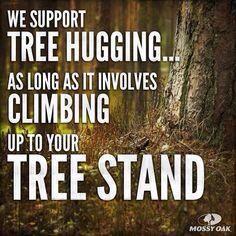 _chadberry's tweet photo. Well then call me a tree hugger! http://t.co/LNUGOuCmVB