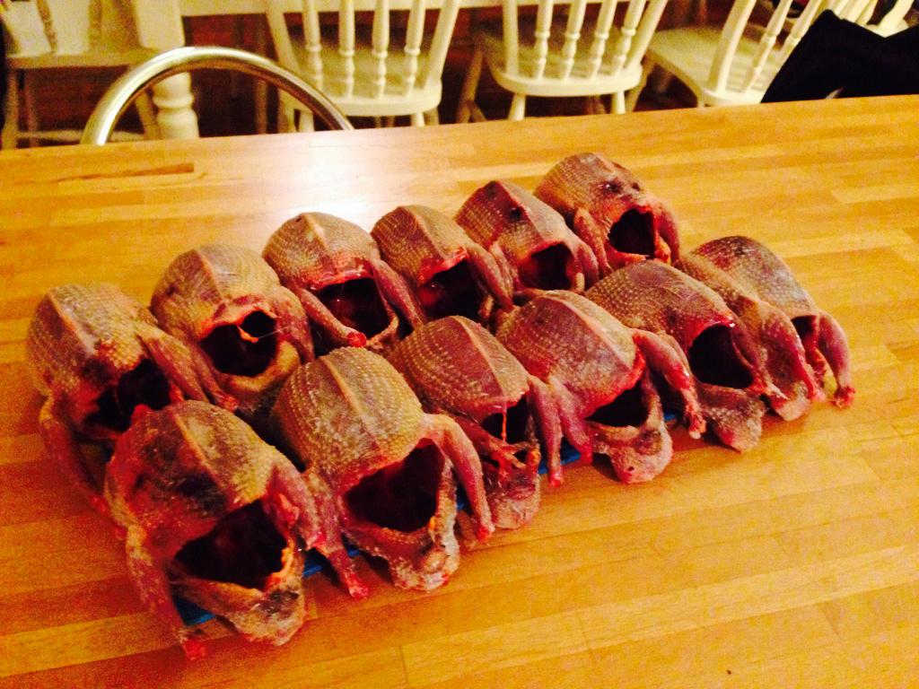 Preparing pigeons for <a href="/Threeblackbird/">The Three Blackbirds</a>  tonight- looking forward to seeing them on the menu!