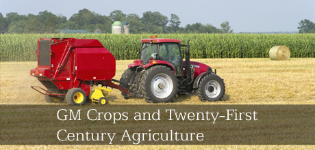 UofGuelphOAC's tweet image. Got questions about #GMO crops? An informative podcast by @BradyDeatonJr w/ @rvanacker Listen: bit.ly/1y1mob8