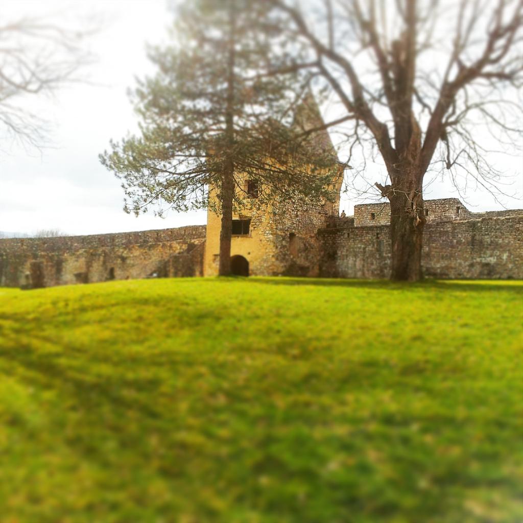 AdmirSalkicF1's tweet photo. Stari grad #ostrožac #Cazin @OvoJeBiH http://t.co/jezxtcjCac