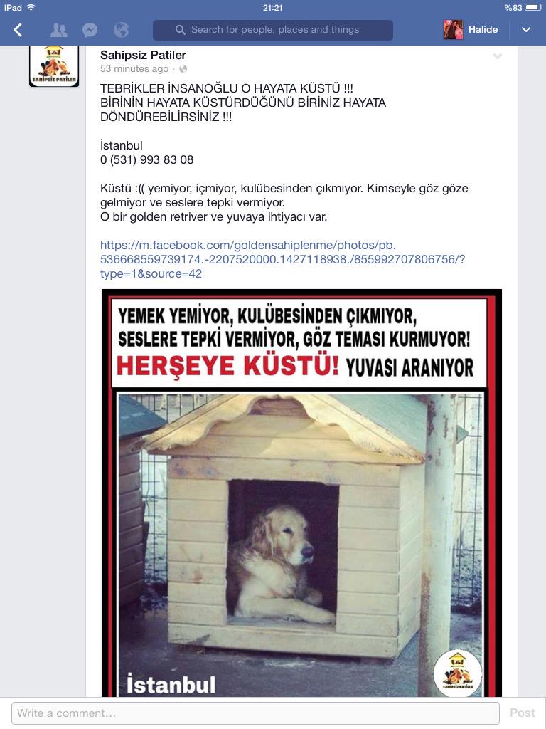 Acil! <a href="/hayvansever131/">hayvan sever</a> <a href="/hayvanlar_icin/">Hayvan Severiz</a> @Huysuzihtiyarr @sacitaslancom <a href="/sokakhayvanlari/">Sokak Hayvanları</a> <a href="/goldengiller/">goldengiller</a>