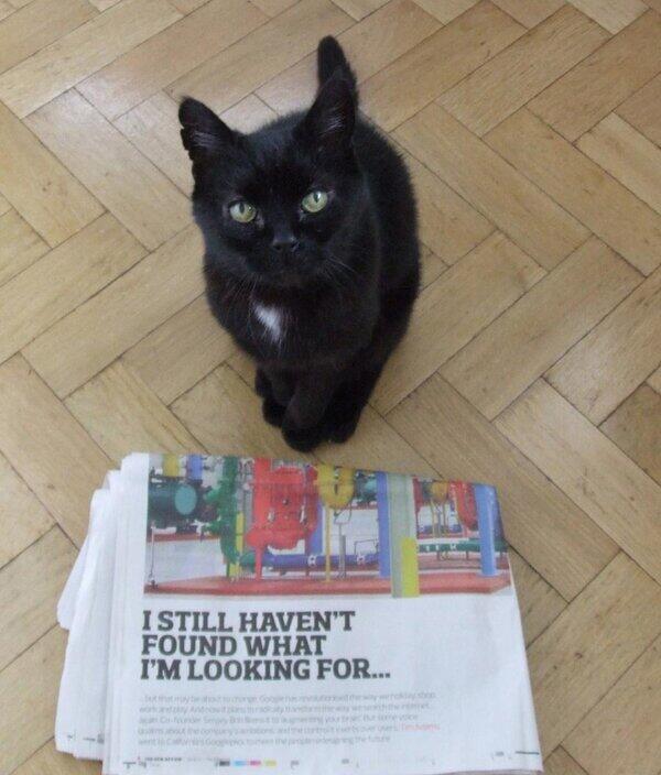 MYSADCAT's tweet photo. My cat is sad because he keeps dropping hints about the gaping spiritual emptiness he feels but nobody ever notices. http://t.co/VgpFaZoeqY