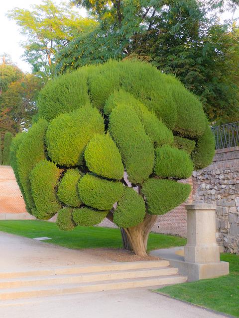 madridandbeyond's tweet image. #Retiro #Park #CoolTree