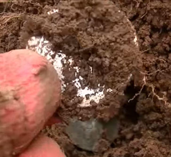 Cutaplug's tweet image. Check out this amazing half dollar silver spill live dig #metaldetecting from JD! buff.ly/1FD4P96