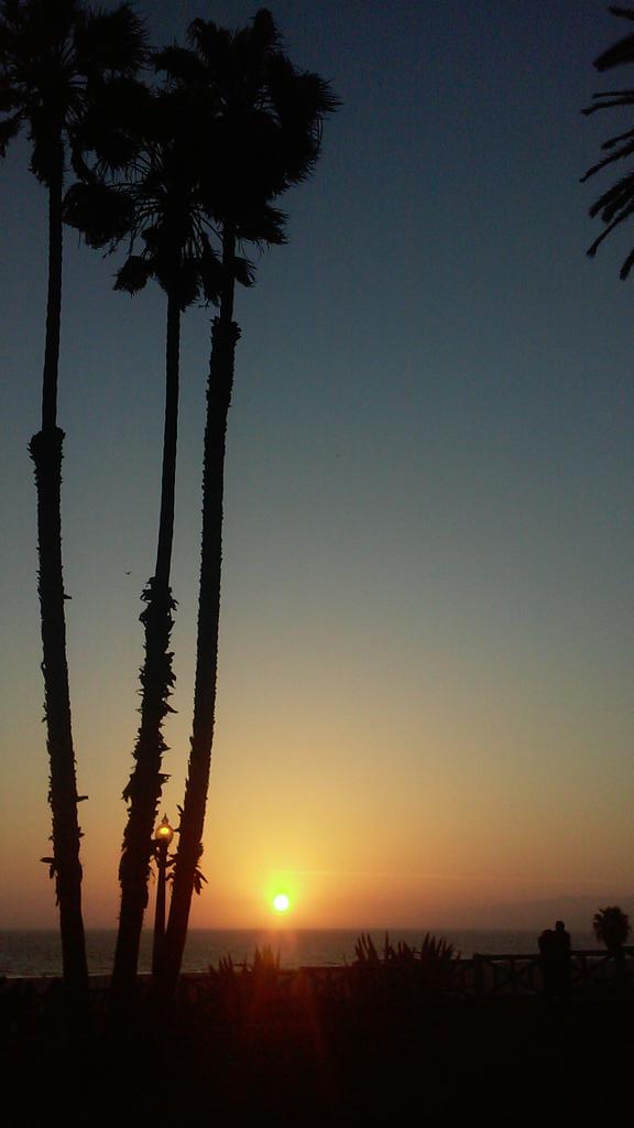 walshyy6's tweet photo. #cool #awesome #sunset #sunrise #whatever #sun #tree #sky #clouds #noclouds #obviously #treesky #ridiculoushashtags http://t.co/RDShQMN74F
