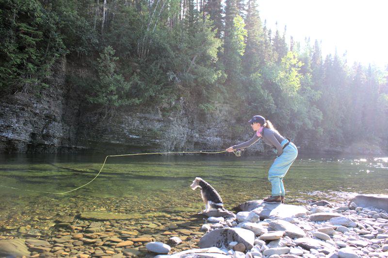 QuebecSporting's tweet image. Fox Terrier "Winston" head guide at Quebec Sporting :)
#YorkRiver #dryflyfishing #ladiesfishing #sage #rossreels