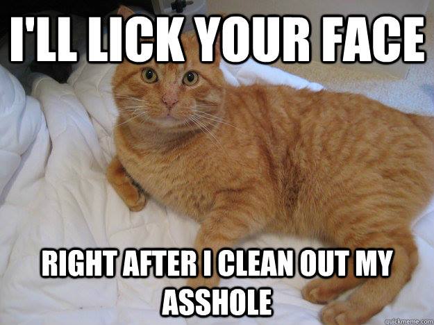 Roger Collins tweet media