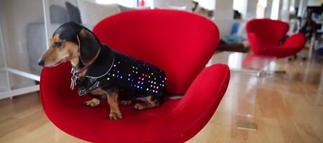 A new advertising opportunity and also just a bit of fun idealog.co.nz/tech/2015/03/t…