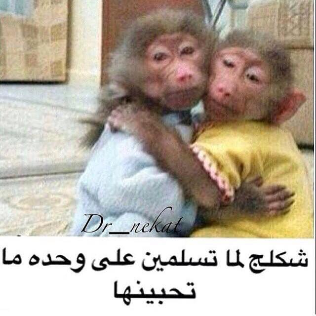شكل البنت لما تسلم علي وحده ما تواطنها ☺️!