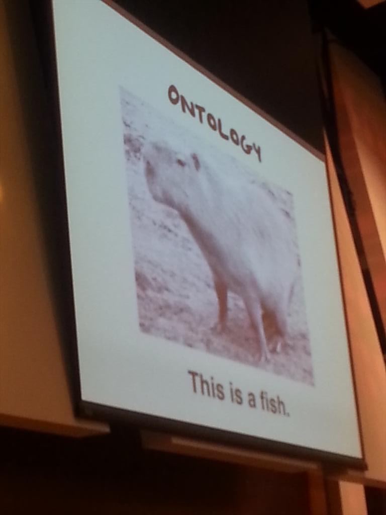 Rmmmsy's tweet image. This is a fish - cc:@kevsung @Hollabawho 
 #ModevUX