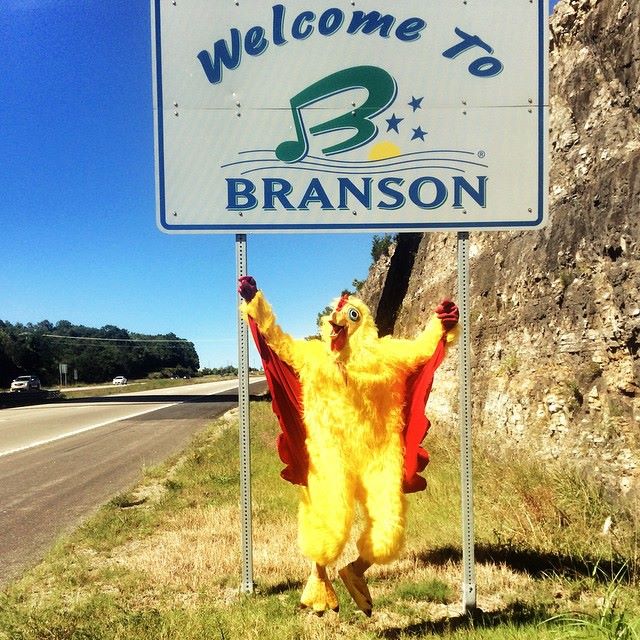 ChickenJourneys tweet picture