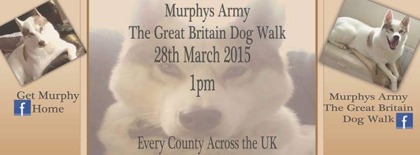 FindLexiChow_'s tweet photo. @NiciPickering STOP DOG THEFT join #murphyarmy 28 Mar #Rothervalley #Sheffield help find #Hunter #TYDG @Animal_Watch http://t.co/pbJHFvWvJb"