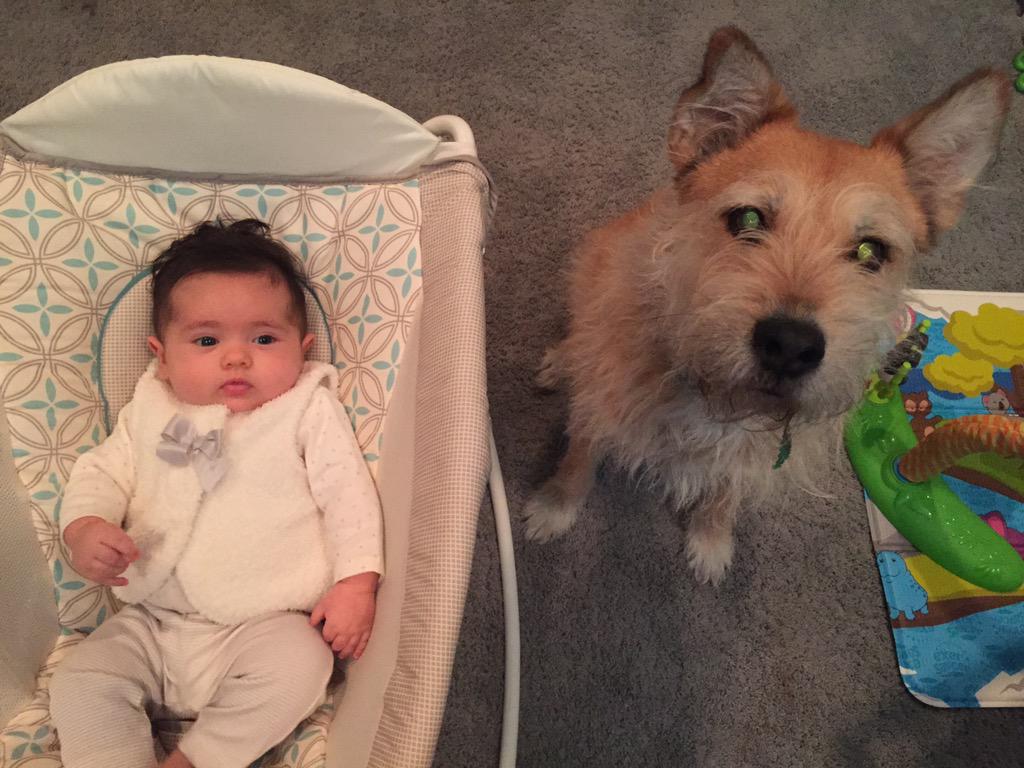 Siblings #NationalPuppyDay