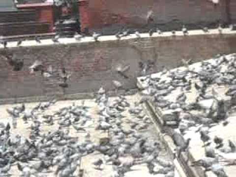 EbooksEuCom's tweet image. Hints To Finding The Right ... - #CatastrophicCoverage #HealthCoverage #HealthInsurancePlan - ebooks.eu.com/hints-to-findi…