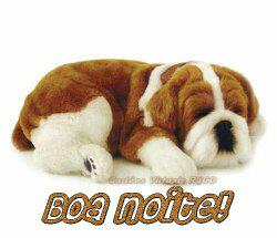 69fae00a93f8446's tweet photo. Noite feliz http://t.co/ojDahMxZxr