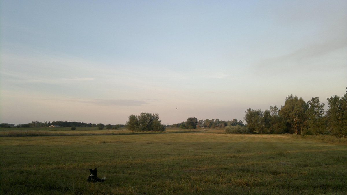 CiceroneBA_Arg's tweet photo. Finishing a fun long weekend among loved ones with an incredible sundown... #ranchlife #argentina #lifeisbeautiful http://t.co/eH3Cl79B3F