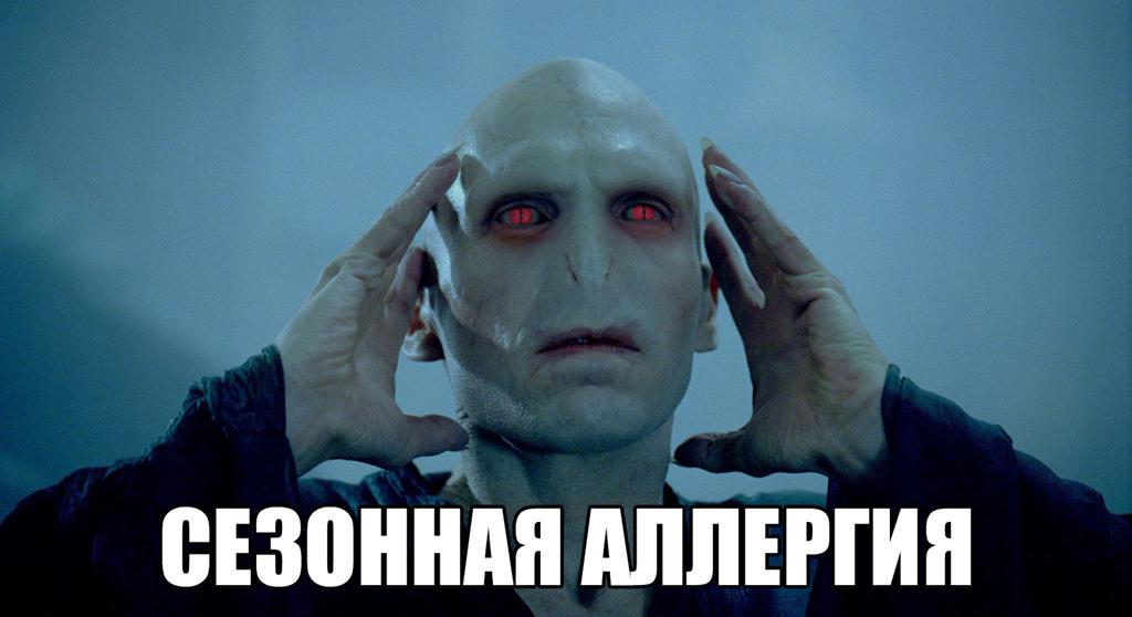 Все радуются погоде, солнышку и поющим птичкам..и только я…