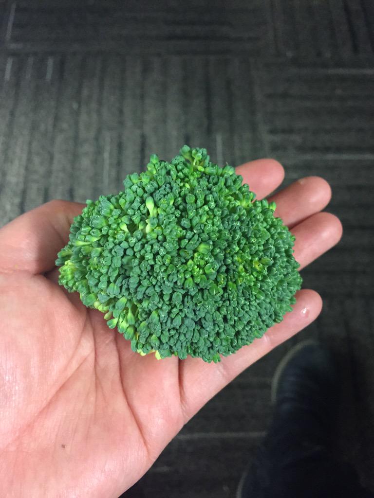 just_janna's tweet photo. Oh #veggiecutter for #veggietrays - at what point do you think "yes, this is an appropriate size for dips/snacks" http://t.co/g6nHY6uR7h
