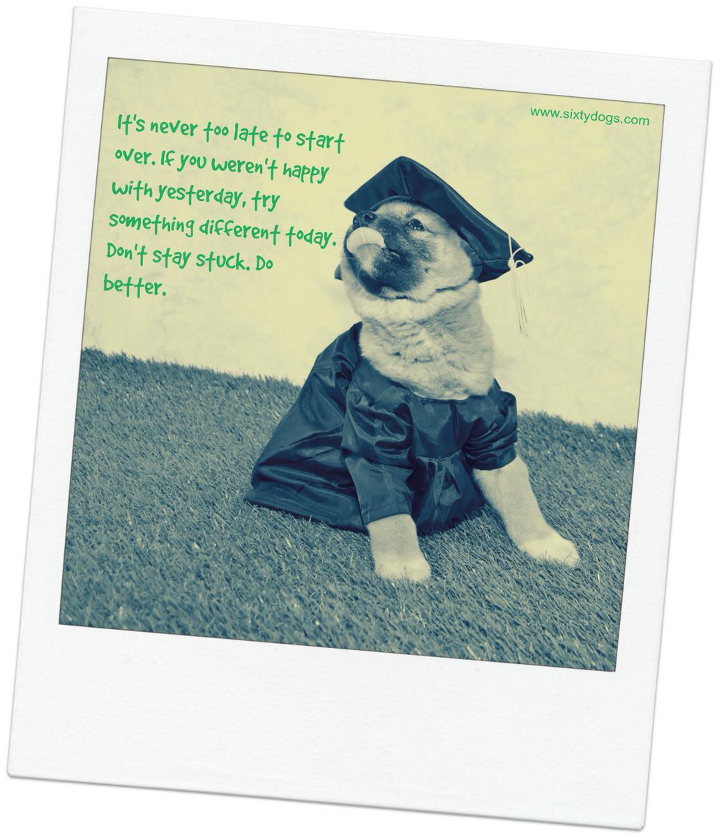 sixtydogs's tweet image. looking to buy a puppy from a registered breeder #Sixtydogs