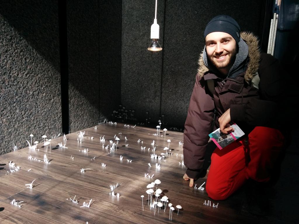 AndrewFarmEd's tweet image. Mycelium running! Part of the @ArtSouterrain citywide exhibit. #mtl #mushrooms