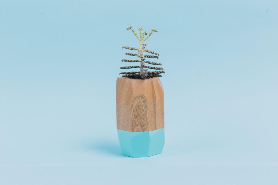 Se inspiran en la naturaleza del universo: 'Tlacuache' chmx.co/Tlacuache