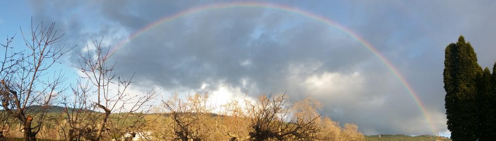 8th_Generation's tweet image. There are two pots of gold one in #naramata and one in #penticton
