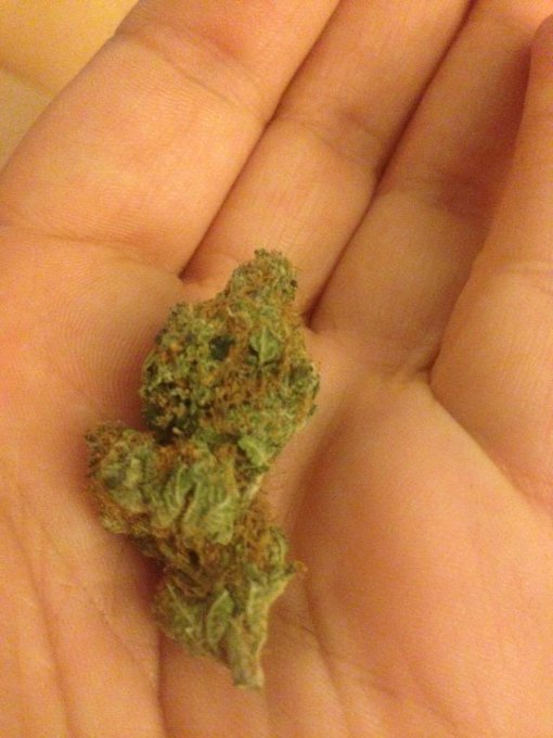 So beautiful! @BudPictures @stillblazingtho http://t.co/kYqCRMFGgl<a class="tags" target="_blank" title="On Twitter" href="/?out=eyJ0eXAiOiJKV1QiLCJhbGciOiJIUzUxMiJ9.eyJpYXQiOjE3MjU3OTQ5NTMsImlzcyI6InR3cG9ybnN0YXJzLmNvbSIsIm5iZiI6MTcyNTc5NDk1MywiZXhwIjoxNzU3MzMwOTUzLCJyZWRpcmVjdF91cmwiOiJodHRwczovL3R3aXR0ZXIuY29tL0J1ZFBpY3R1cmVzIn0.LRjC7Hzekcb5s_fvn1ex52cGKcI7td_EpxVwWZJ-VXgZiBpbkMrCHtgtz7VGZiueeRjQacUc8yE5AgjV-mjlVw">@BudPictures</a><a class="tags" target="_blank" title="On Twitter" href="/?out=eyJ0eXAiOiJKV1QiLCJhbGciOiJIUzUxMiJ9.eyJpYXQiOjE3MjU3OTQ5NTMsImlzcyI6InR3cG9ybnN0YXJzLmNvbSIsIm5iZiI6MTcyNTc5NDk1MywiZXhwIjoxNzU3MzMwOTUzLCJyZWRpcmVjdF91cmwiOiJodHRwczovL3R3aXR0ZXIuY29tL3N0aWxsYmxhemluZ3RobyJ9.31ZfimjoHZD6UhPSmZ92r3ChUxdMyHIKRYUHTYZ8zBb4xuNAH_fMzXdzswn-XdwX7xkdoK9ZjULR2R5HEIVHVw">@stillblazingtho</a>