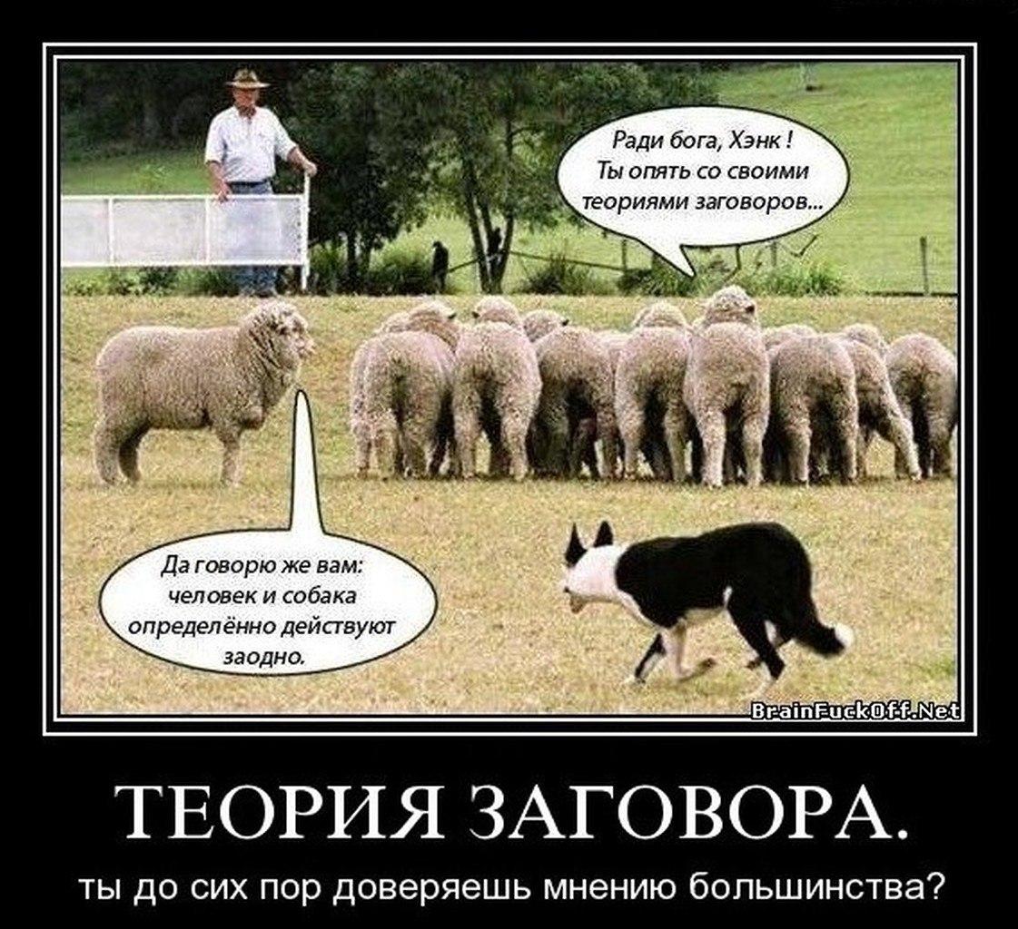 Человек и собака действуют заодно