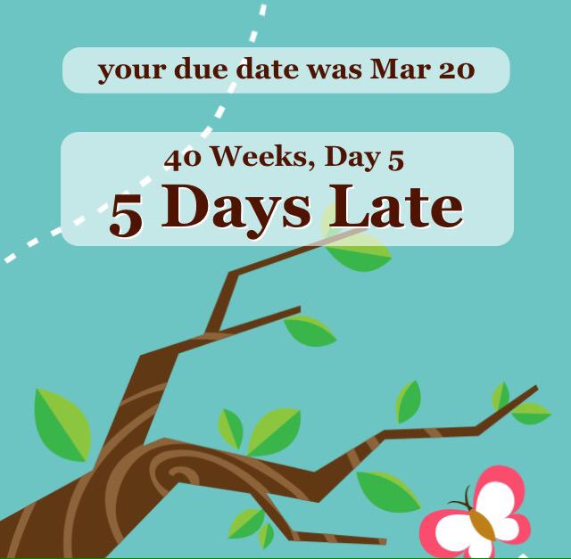 TryingNot's tweet image. Looks like someone is too comfortable #PregnancyProblems