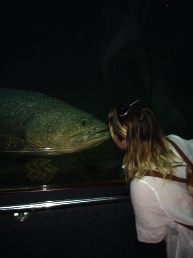 LouiseMartin_92's tweet photo. Found myself a new boyfriend http://t.co/iLbfRwGQc6
