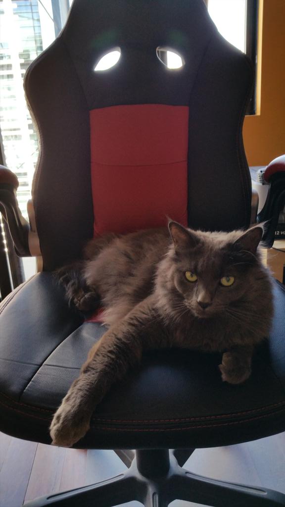 heyjarl's tweet photo. Hey remember when this chair belonged to @polar_rk ? #meneither http://t.co/qZNv0yHC6d