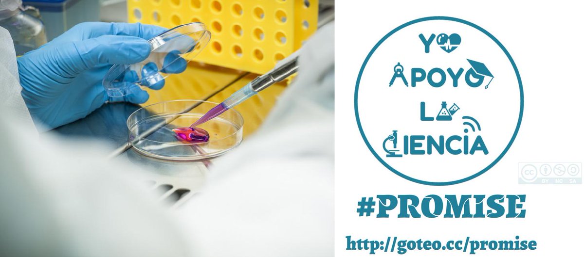 Promise_UC3M's tweet photo. 4días,1reto. Dona y ayuda a hacer realidad nuestros metasensores para diagnóstico http://t.co/MjiKs1zSAJ #crowduc3m http://t.co/YUOq30i28q