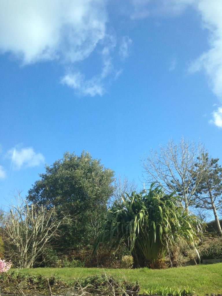 What a beautiful day to view properties! If you are looking for a property to rent call us now 01752 201010 :)