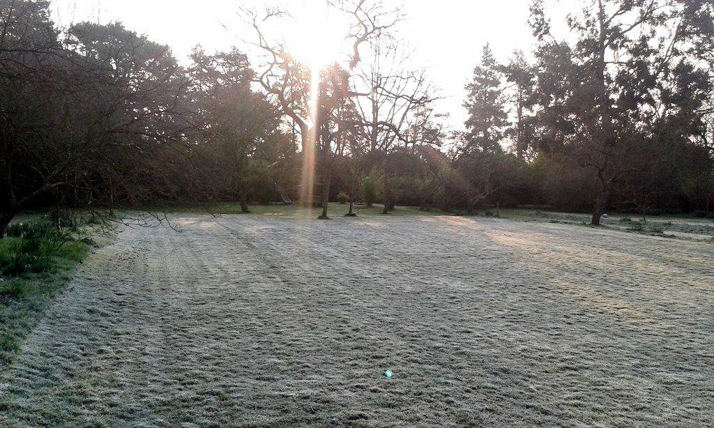 CA_TimB's tweet image. Sharp frost in Herts #notspringyet