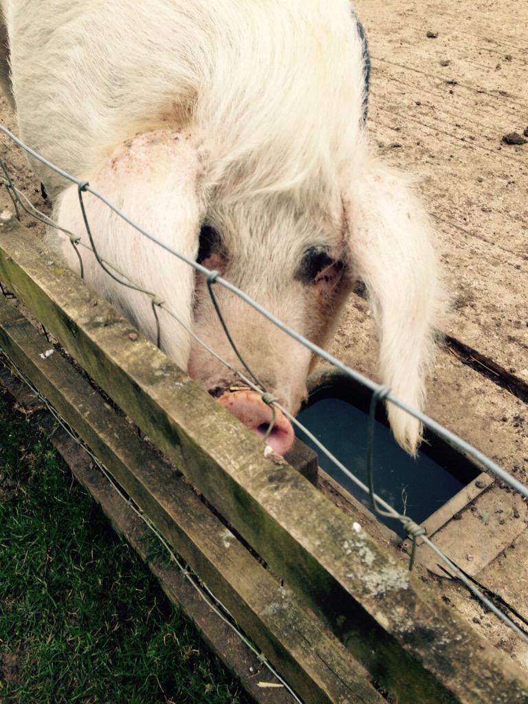 Another wonderful fitness session. Bloody cold though but at least I'm looking less like this...