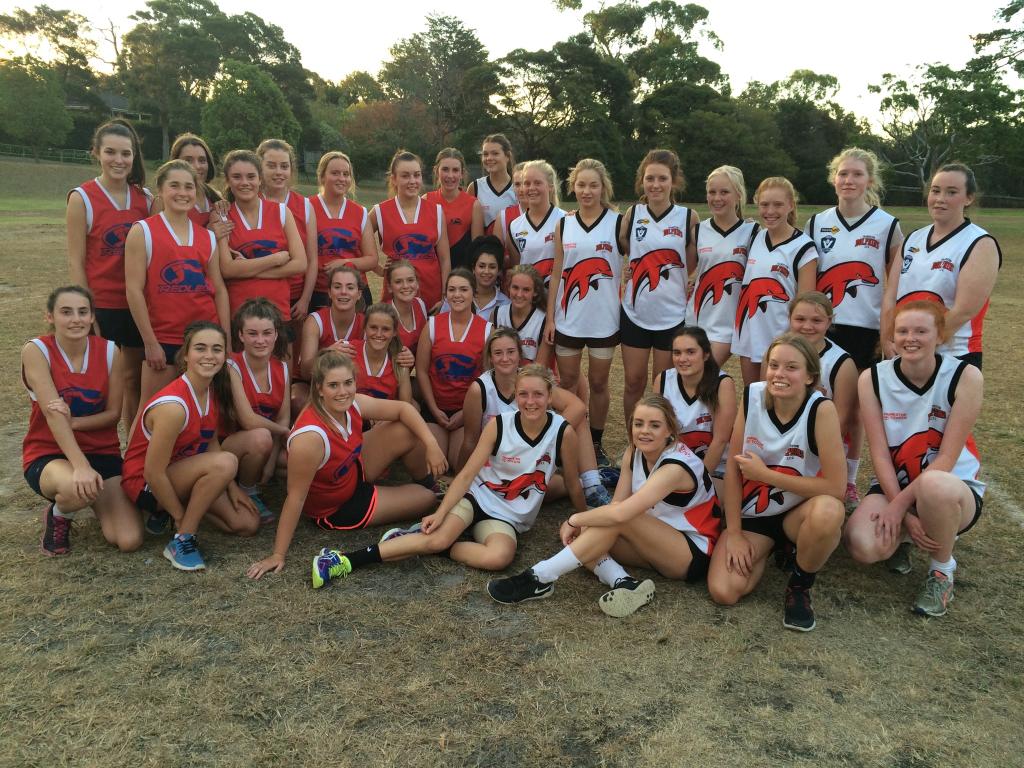 Dayna_Smith22's tweet photo. Gr8 practice match 2night @YouthGirls Frankston Dolphins vs Mt Eliza great 2 see girls getting out there #beontheball http://t.co/Ul1rext5SM