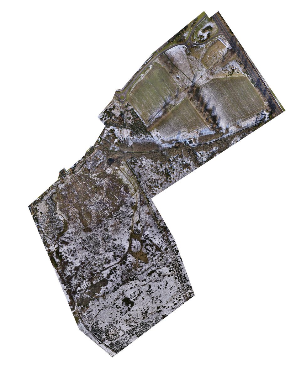 Jim Main tweet media