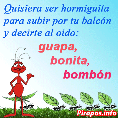 CristobalBolon's tweet photo. participa en #PiropoBolon sigue las reglas y gana $10 al 3er lugar #LosVIPEnTC http://t.co/Tnmhj8Ko2C