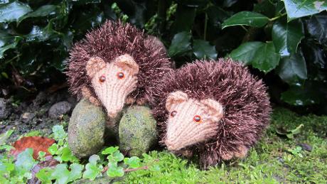 NTSouthWest's tweet photo. Knit us a newt, crochet a crocus or a felt a finch for @NTArlington 's #Woollenwoods 2015 >>> http://t.co/lcPx2eMHpT http://t.co/l9r1Xk6cmW