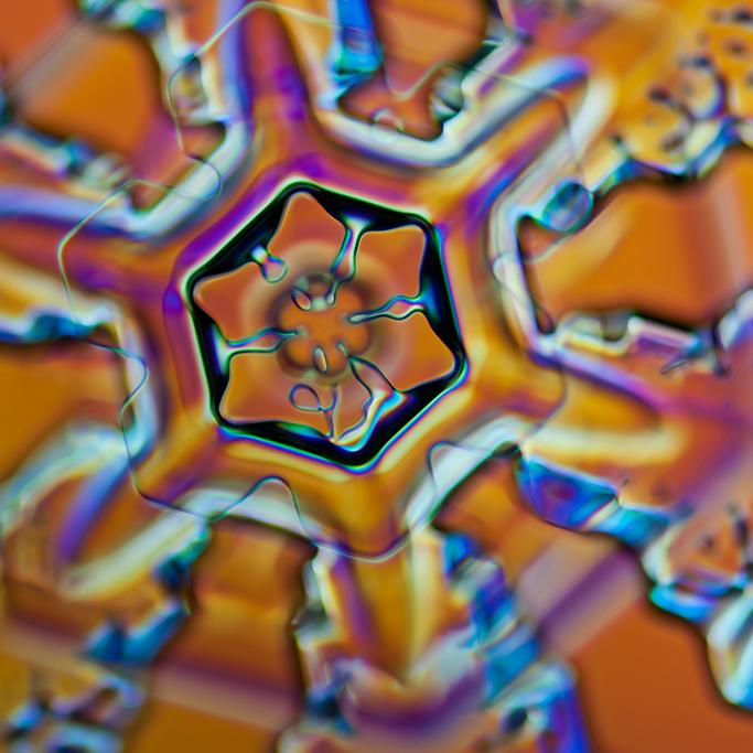 giuliobolzon's tweet photo. #Art or #Science? Both! Unbelievable Microscope #Photography. Awesome job #LindenGledhill http://t.co/fLZ5Up79aF http://t.co/FEDaLhGRd2