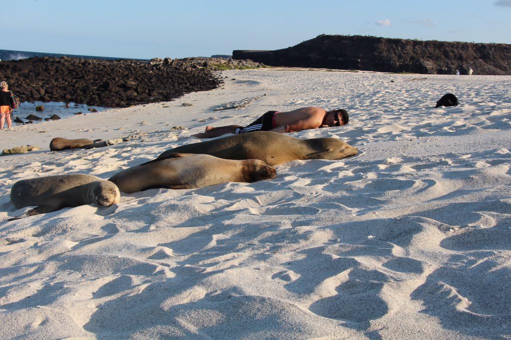 GAdv_Gonzalo's tweet image. #galapagos with @gadventures  #paradise #ecuador