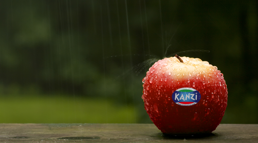Helaas een regenachtige dag vandaag, kijken jullie ook zo uit naar de zomer? #Kanzi