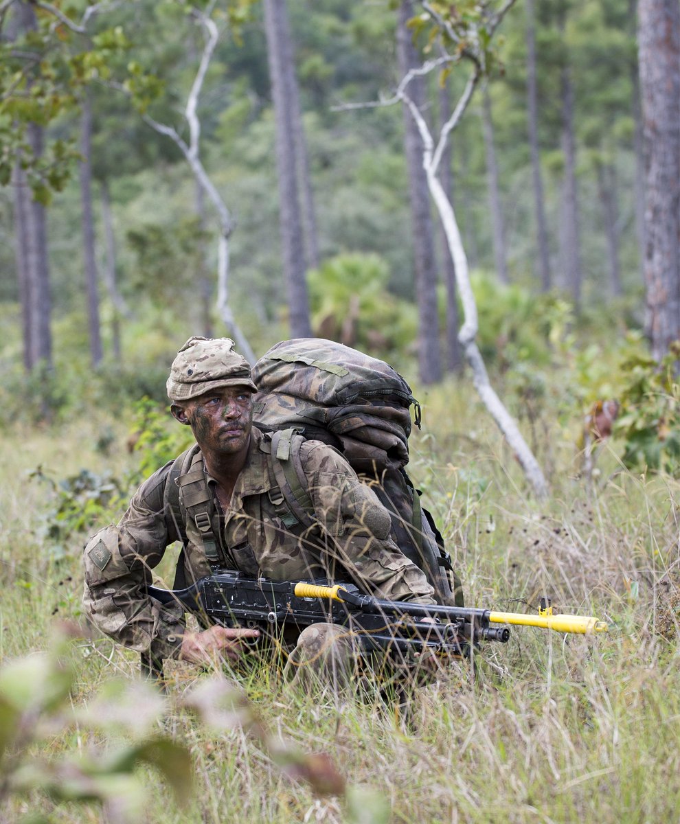 Jungle warfare a coy, 2nd battalion the princess of wales’s royal regt