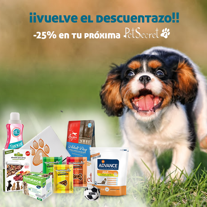 PetSecret_es tweet picture