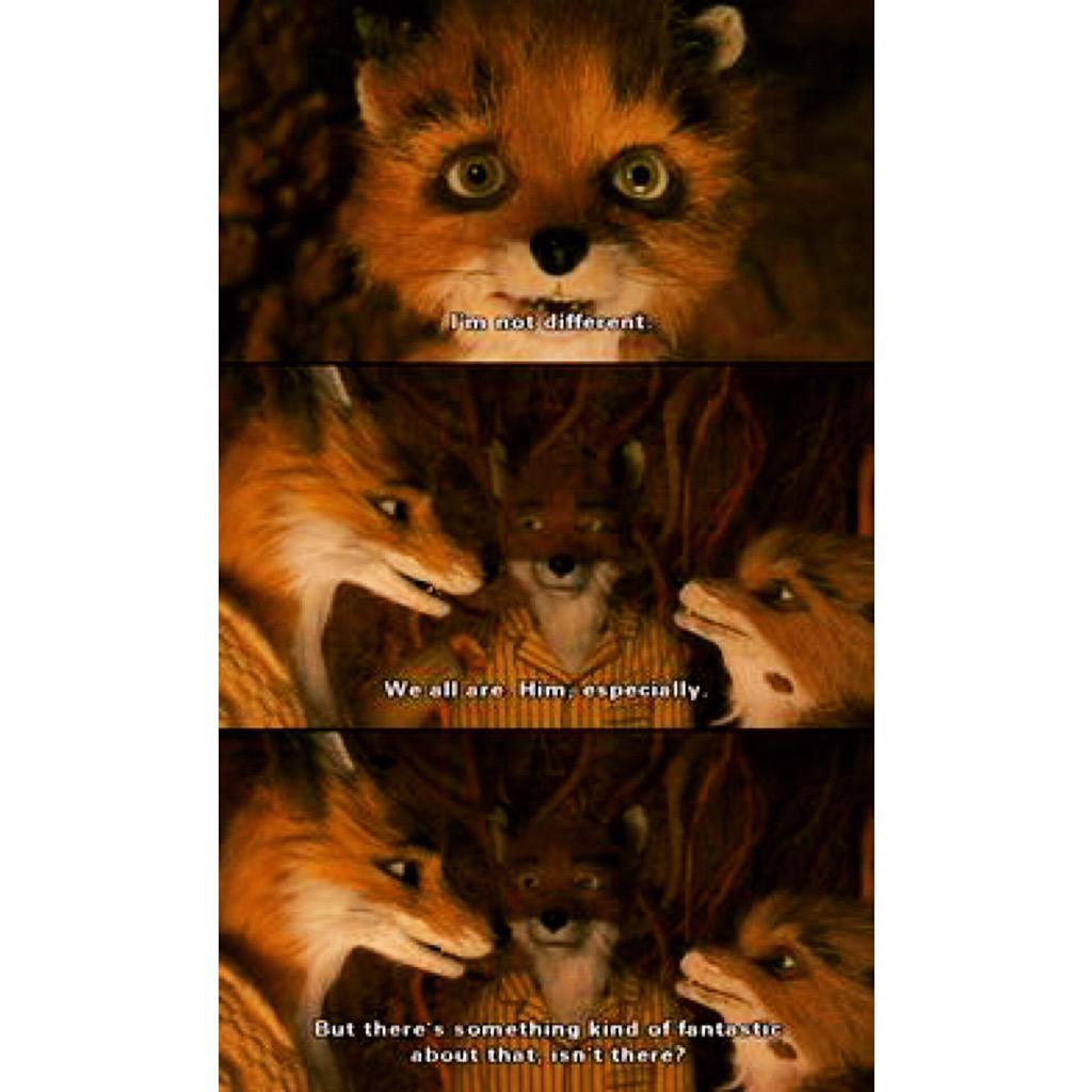 Wes Anderson Quotes On Twitter: "#Fantasticmrfox Http://T.co/Hzdnn9Uhjp" / Twitter