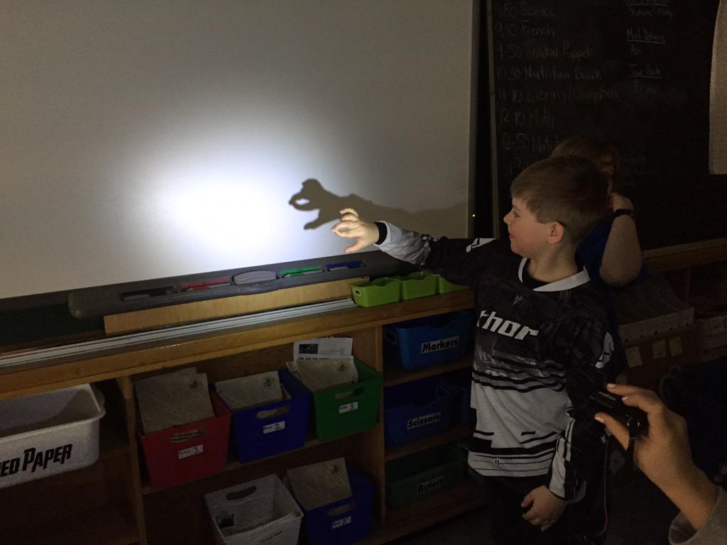 cookhwdsb's tweet image. Sharing our shadow puppet creations.