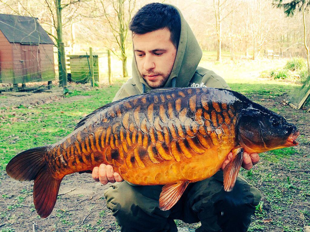 MattMoors11's tweet photo. @ccmoore_baits a couple from the wknd including a lovely scaley one. Live and NS1's doing the damage. Mint 👌 http://t.co/pEEp5ye3Lx
