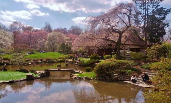PHLVisitorCntr's tweet image. So close! RT @discoverPHL Feed koi, tour the #gardens, &amp;amp; more. @Shofuso's award-winning grounds open 3/28!